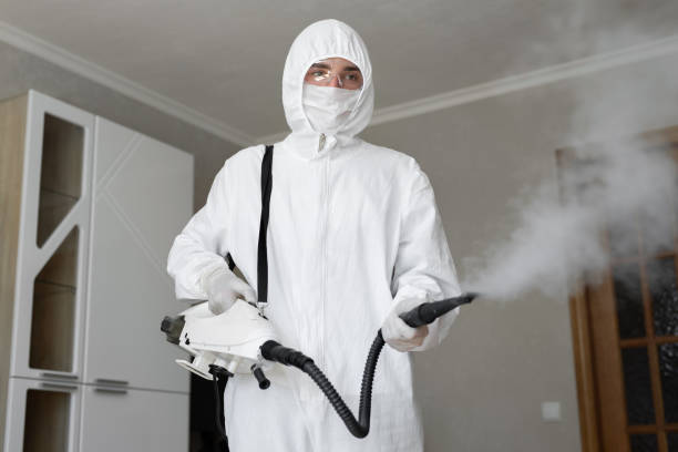 Trusted Langley, SC Mold Removal Services Experts